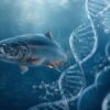 Trout swimming underwater beside a DNA double helix, symbolizing genetics.
