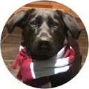 S T profile picture