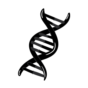 Stylized black DNA double helix illustration used as a science symbol.