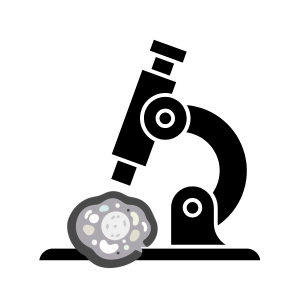 Silhouette of a compound microscope with a round cell specimen on the stage, illustrating microscopy.
